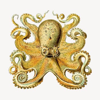 Vintage yellow octopus, animal clipart | Free Vector Illustration - rawpixel