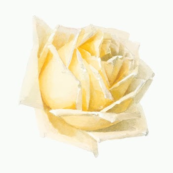 Vintage yellow rose flower head vector illustration, remix from artworks by Paul de Longpr&eacute;