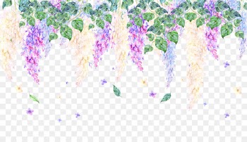 Viola mandshurica Violet Drawing - Hand drawn Violet 