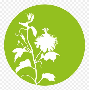 Viola Odarata Leaf Liquid Extract - Marsh Mallow