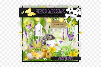 Violaceae Flora Fauna Easter Purple - hug spring 