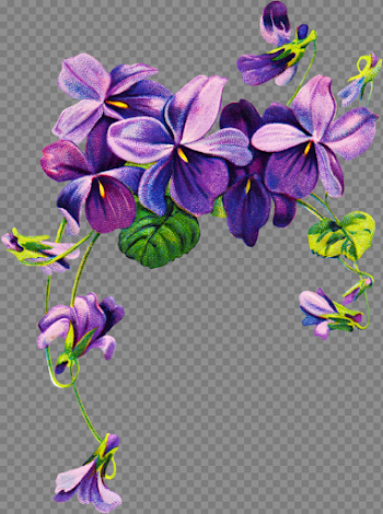 Violet Free Download