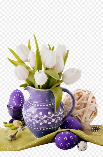 violet purple flower plant tulip