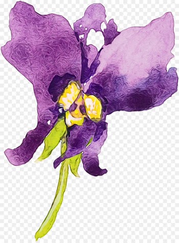 violet purple flower plant watercolor paint