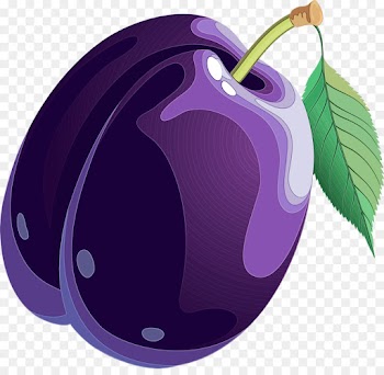 violet purple fruit leaf lilac