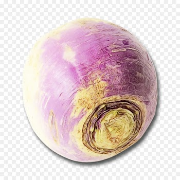violet purple vegetable rutabaga plant