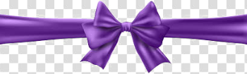 Violet Ribbon PNG High-Quality Image