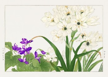 Violet & Scilla flower woodblock | Free Photo Illustration - rawpixel