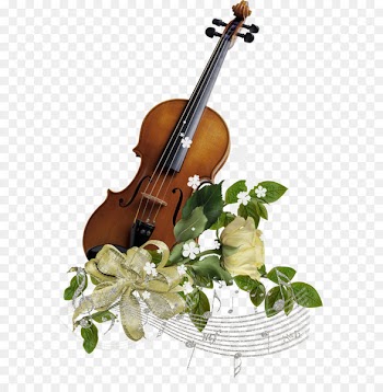 Violin family Musical instrument String Cello - decoration 