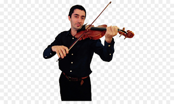 Violin family Viola Musical Instruments Cello - violin png download ...
