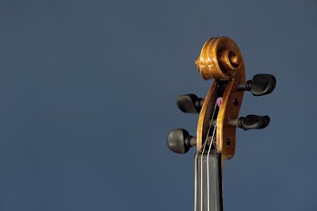 Violin Instrument Neck And Tuning Pegs