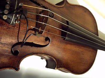 violin4_t.JPG