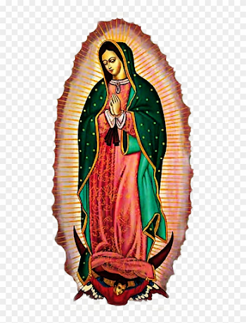 Virgen De Guadalupe Protegenos, HD Png Download - 509x1023 ...