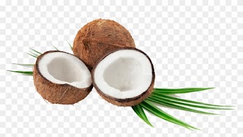 Virgin Coconut Oil - Virgin Coconut Oil Packaging Design