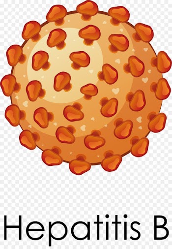 Virus Vector graphics Stock illustration Royalty-free Viral hepatitis - vector 
