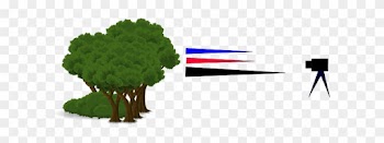 Visible Light น้อยกว่าที่ควรจะเป็น - Tree