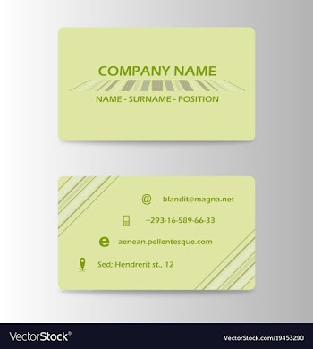 Visit card background vector image