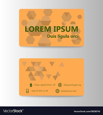 Visit card template vector image