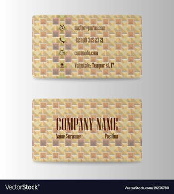 Visit card template vector image