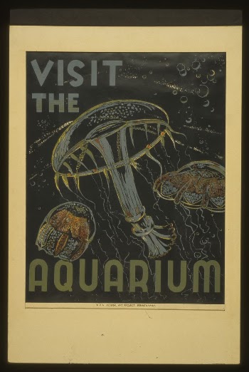 Visit the aquarium | Free Photo - rawpixel