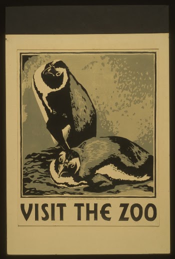 Visit the zoo | Free Photo - rawpixel