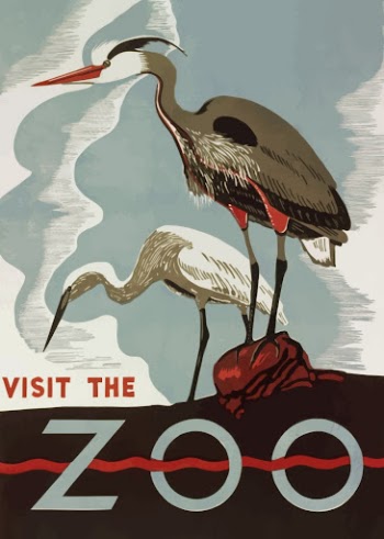 Visit the zoo poster clipart, | Free Vector - rawpixel