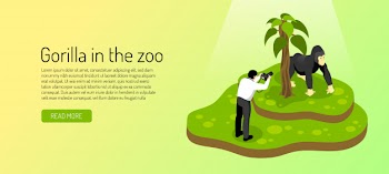 Visitor to zoo during photographing gorilla on yellow green  horizontal banner isometric Free Vector