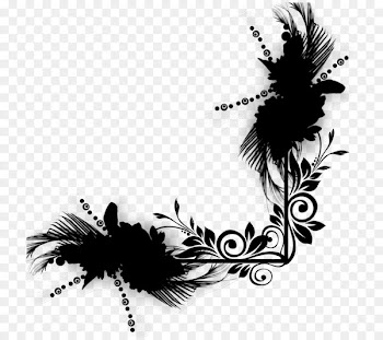 Visual Arts, Black White M, Silhouette, Feather, Wing PNG