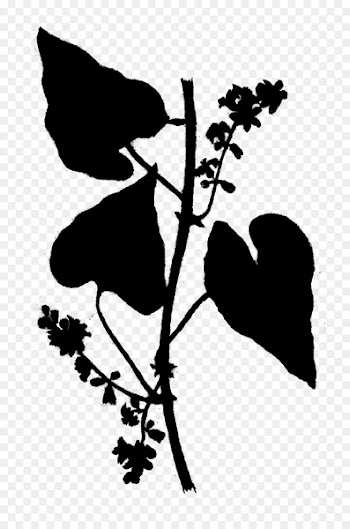 Visual arts Clip art Silhouette Flower -  