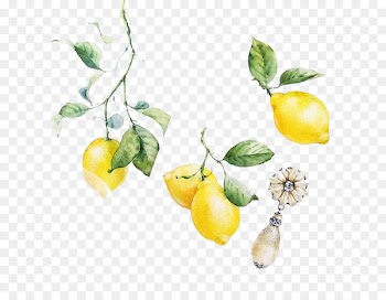 Visual arts Lemon Watercolor painting Illustration - FIG watercolor painted lemon material 