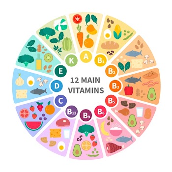 Vitamin food infographic Free Vector