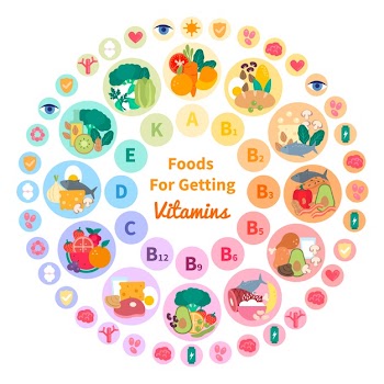 Vitamin food infographic template Free Vector