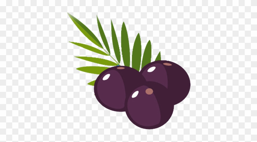Vitapro21 Presents When Hangover Cure Property Tax - Acai Berry Vector