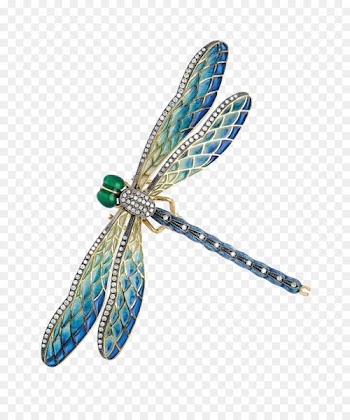 Vitreous enamel Earring Brooch Jewellery Plique-xe0-jour - Crystal Dragonfly 