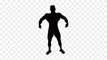 Vitruvian Man Silhouette Muscle Clip Art - Fit Man Silhouette Vector