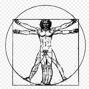 Vitruvian Man The Creation of Adam - Vitruvian man 