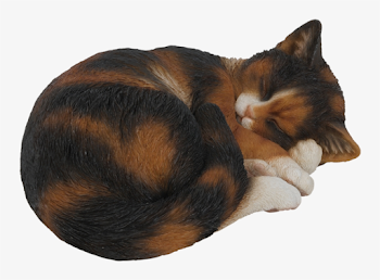 Vivid Sleeping Tortoiseshell Cat - Cat Sleeping Transparent PNG ...
