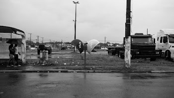 Vivo Stop Roadside