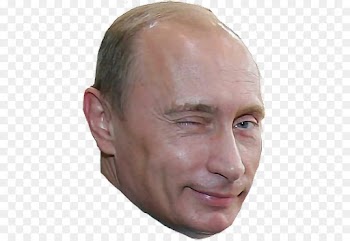Vladimir Putin, Russia, Journalist, Face, Forehead PNG