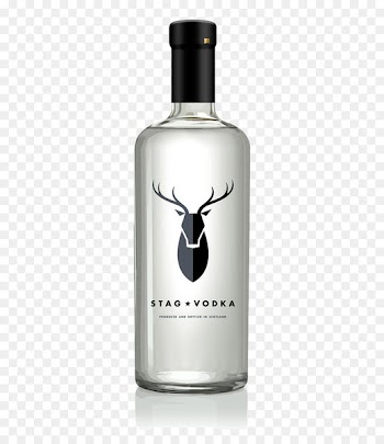 Vodka Moonshine Distilled beverage Gin Bottle - Transparent glass bottle 