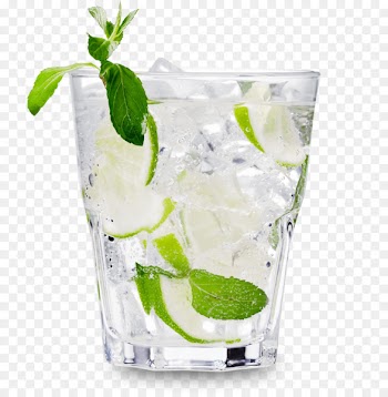 Vodka tonic Cocktail Distilled beverage Beer - mojito 