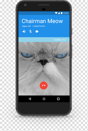 Voice or Video Calling – Signal Support