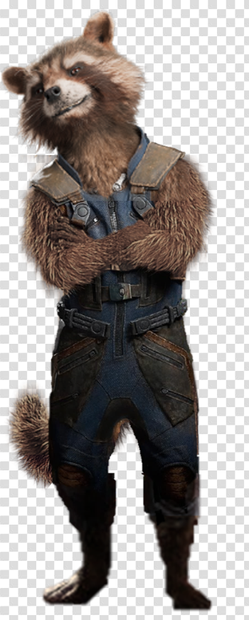 Vol 2 Rocket Raccoon 2 - Transparent by Captain-Kingsman16 on ...