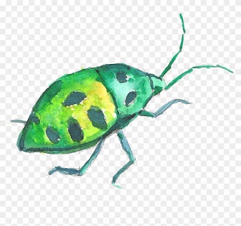 Volkswagen Beetle Watercolor Painting - Leaf Beetle