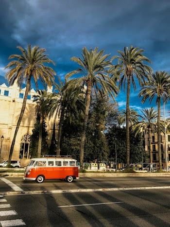 Volkswagen On Road