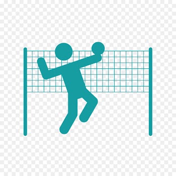 Volleyball Atlanta Falcons Fareham Sporting Goods - volleyball 