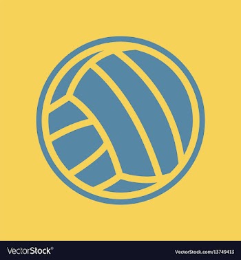 Volleyball ball vector image