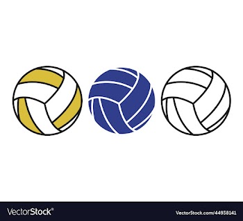 volleyball ballon cute flat design