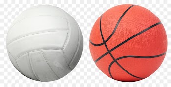 Volleyball Basketball Donar Sports - volleyball 