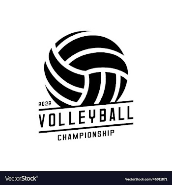 volleyball black